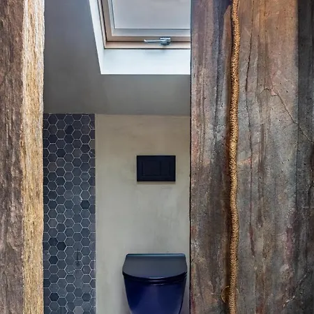 Azor Eco São Vicente Ferreira