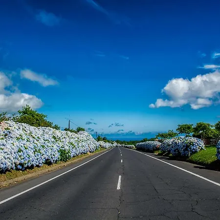 Azor Eco Apartment São Vicente Ferreira