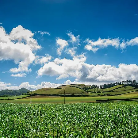 Azor Eco Apartment São Vicente Ferreira