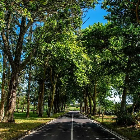 Azor Eco * São Vicente Ferreira