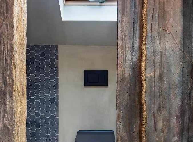 Azor Eco São Vicente Ferreira