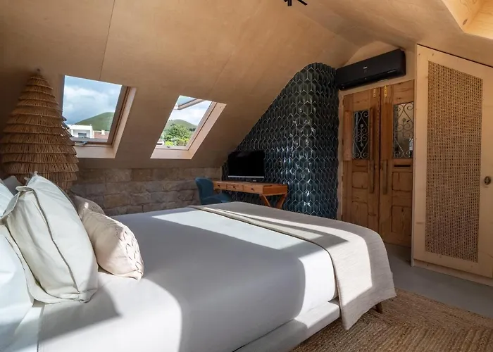 Azor Eco São Vicente Ferreira