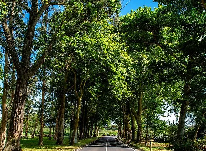 Azor Eco * São Vicente Ferreira