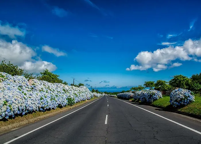 Azor Eco Apartment São Vicente Ferreira