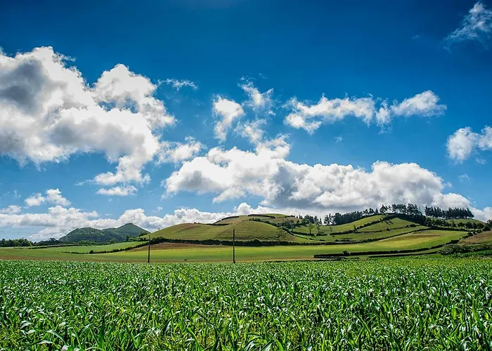 Azor Eco Apartment São Vicente Ferreira